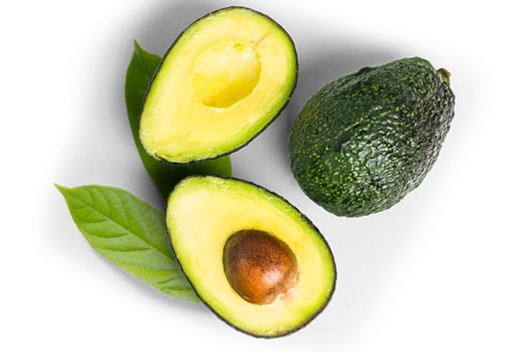 fruit-avocado-live