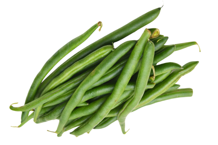 veggie-french-beans-live