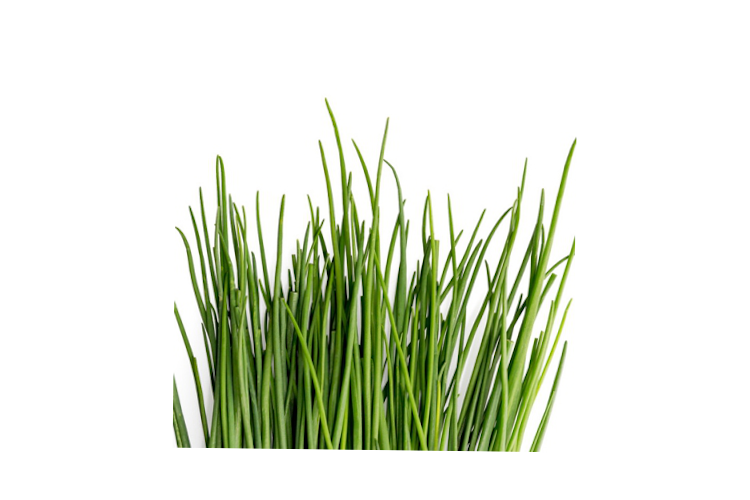 herbs-chives-prod-1-live